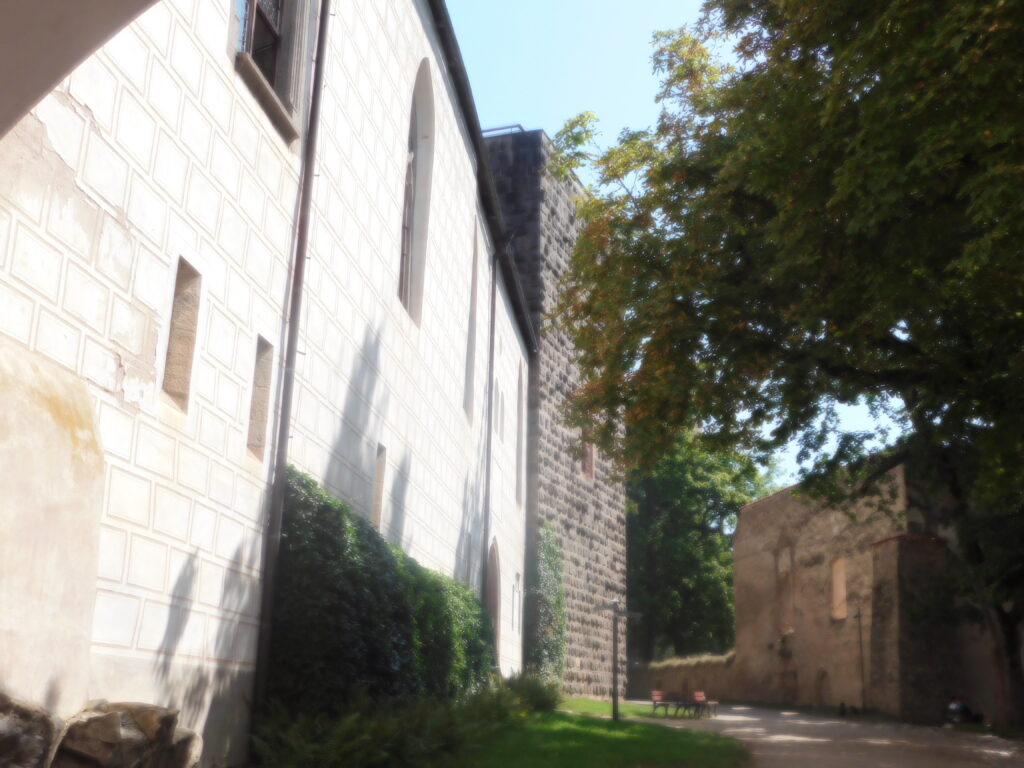Zvíkov 12