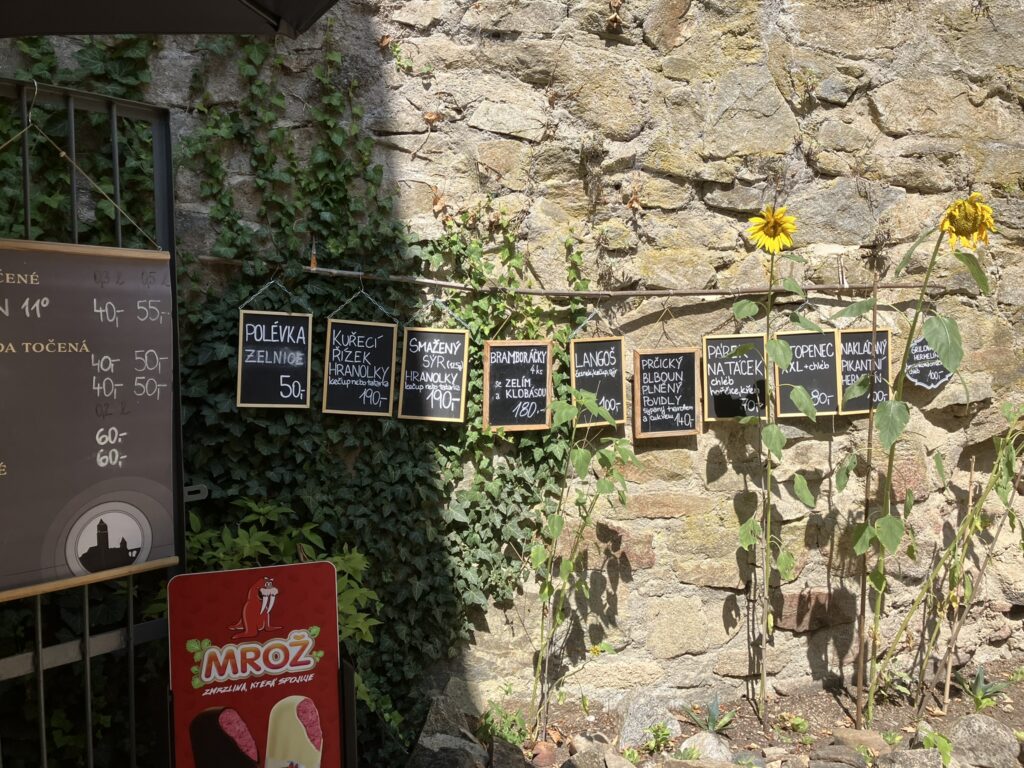 Zvíkov 23