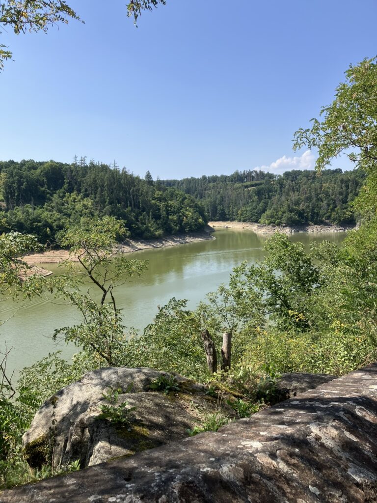 Zvíkov 3