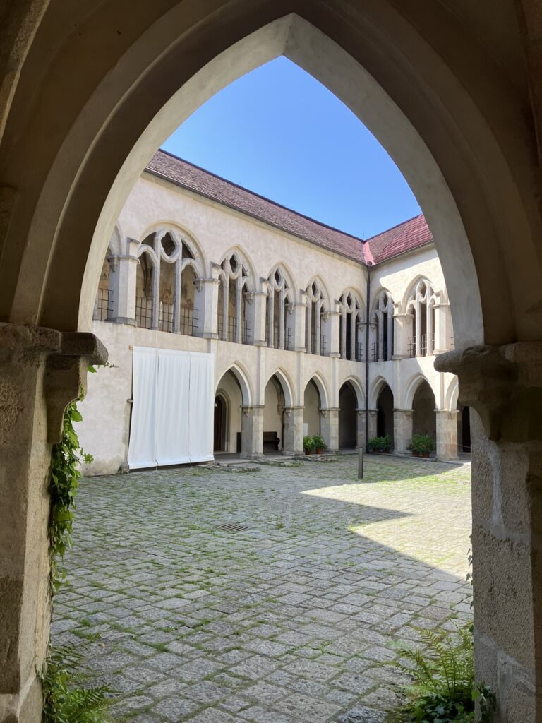 Zvíkov 8