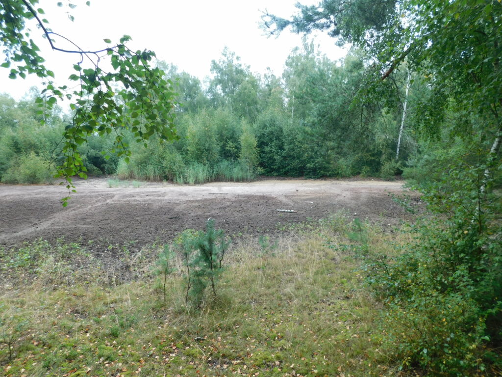 Rezervace SOOS 14