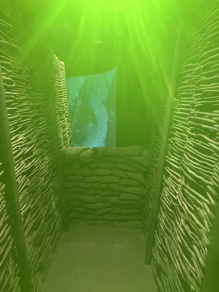 Armadni-muzeum-Zizkov9